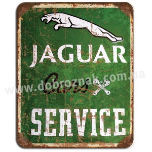 Jaguar service!