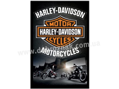HARLEIY DAVIDSON motorcycles!