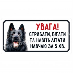 Навчаю літати за 5 хвилин!   Чорний вівчар