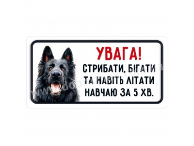 Навчаю літати за 5 хвилин!   Чорний вівчар