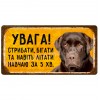 Навчаю літати за 5 хвилин! (Лабрадор)