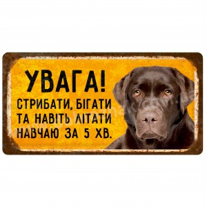 Навчаю літати за 5 хвилин! (Лабрадор)