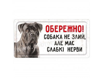 Кане корсо 1