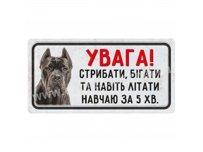 Кане корсо 2 Кане корсо 2