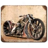 Custom bike  
