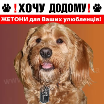 ДЛЯ СОБАК