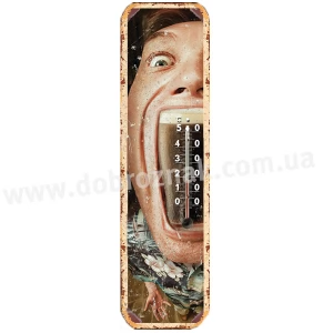 Термометр Beer
