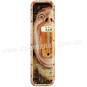 Термометр Beer