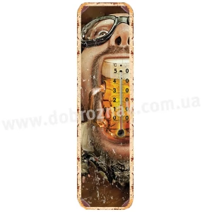 Термометр Beer