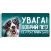 Добрий пес!