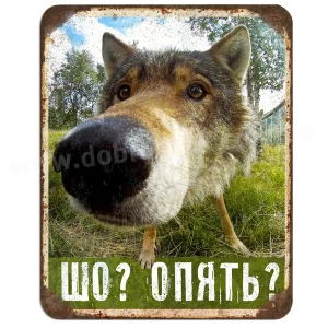 Що? Знову?